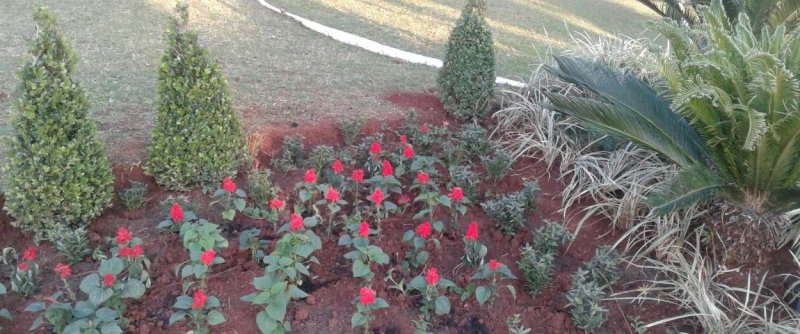 PLANTIO DE FLORES NA PRAÇA